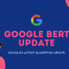 Google Bert Update